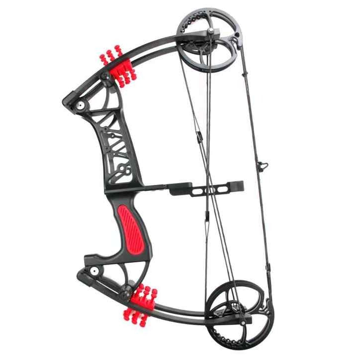 Arc de chasse composé pour adulte, poulie de tir à l'arc, accessoire de  pêche, 30 à 60 livres, 1 ensemble